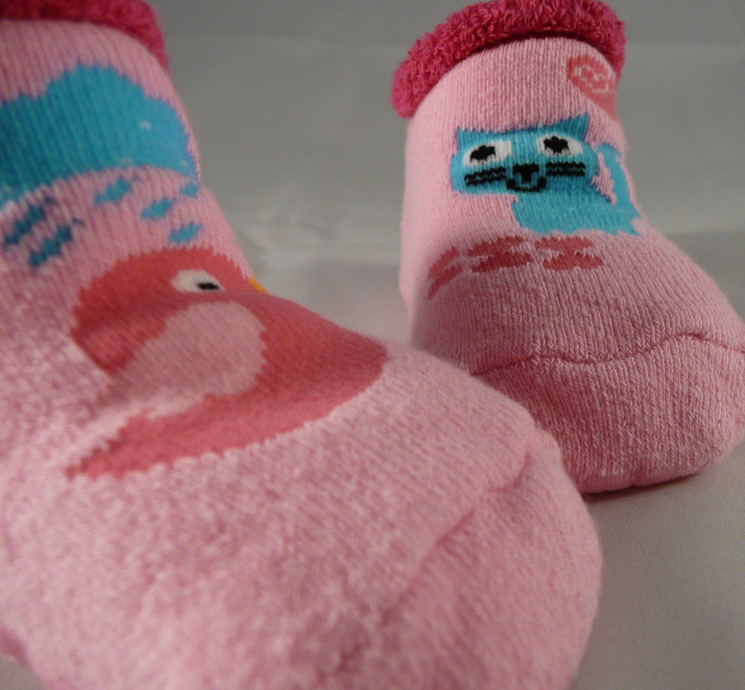 zutano socks